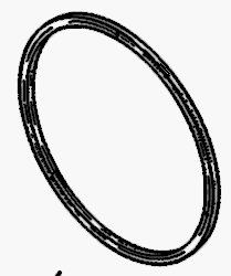 704-9000 DOOR GASKET (QUAD RING) (Door Seal)
