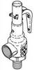 Century V116 SAFETY VALVE (50 PSI)