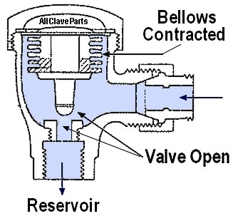 Steam Trap Bellows Contracted